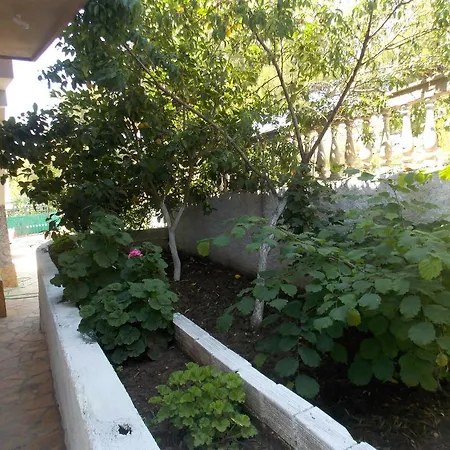 Vila Bega Affittacamere 3*