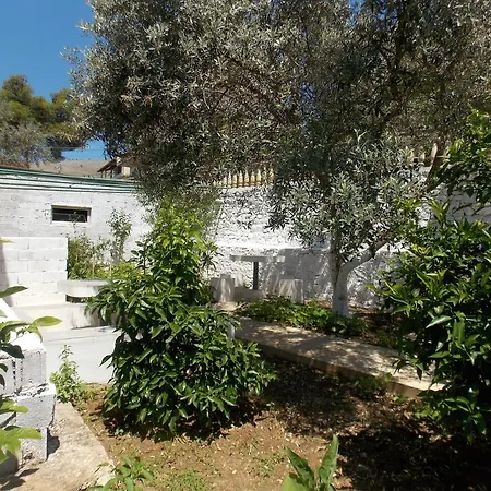 Vila Bega Affittacamere 3*