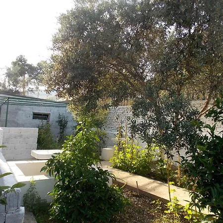 Vila Bega ゲストハウス